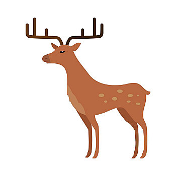 鹿,风格,隔绝,白色背景,两个,群,扁角鹿,狍亚科,驯鹿,北美驯鹿,西方狍,欧亚混血,麋鹿,驼鹿,卡通,矢量