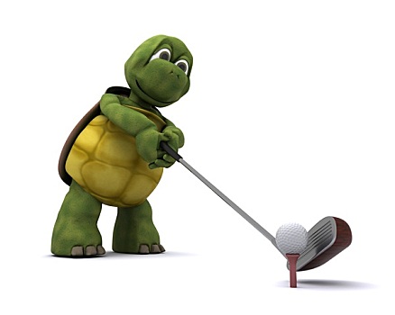 龟,玩,高尔夫