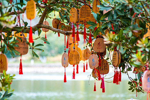 祈福挂牌,佛教,大树,湖边