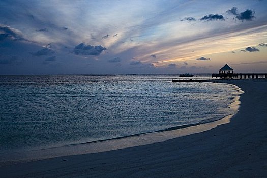 海滩,日落,菩提树,马尔代夫