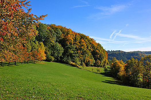 秋日风光,弗兰哥尼阶,瑞士,靠近,中间,弗兰克尼亚,巴伐利亚,德国,欧洲