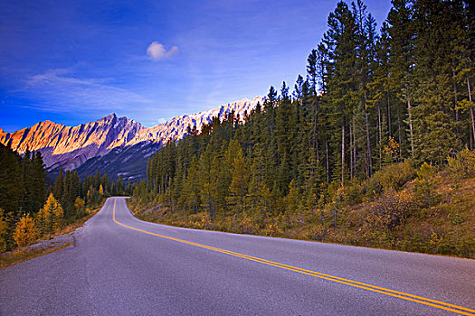 药湖,公路,碧玉国家公园,艾伯塔省,加拿大