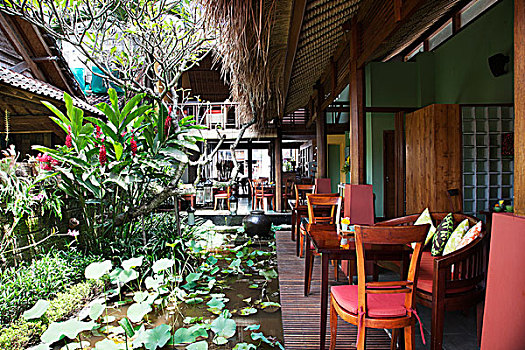 三个,猴子,餐馆,乌布,巴厘岛