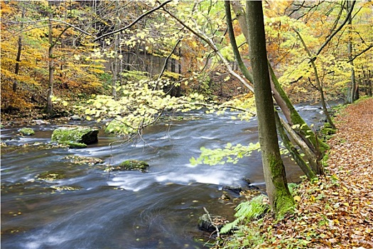 河,秋天,捷克共和国