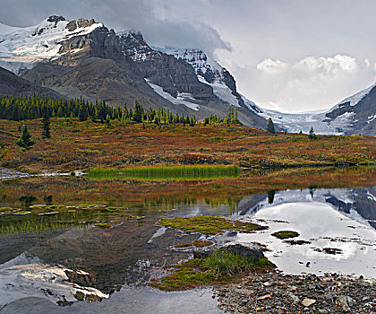 阿萨巴斯卡,阿萨巴斯卡冰川,碧玉国家公园,艾伯塔省,加拿大
