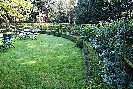 草坪,弯曲,树篱,花园桌,椅子,背景