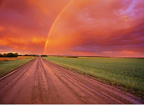彩虹,上方,乡间小路