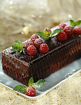 巧克力,树莓,原木,蛋糕