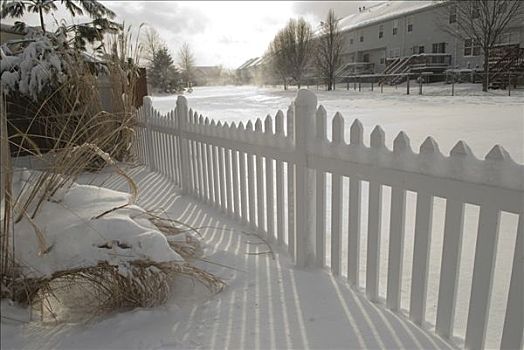 栅栏,积雪,风景,多佛,特拉华州,美国