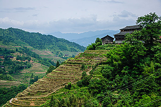 桂林梯田风光