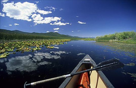 独木舟,湖,俄勒冈,美国