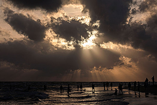 人,逆光,海滩,落日,光线,乌云,上方,海洋,布鲁维拉,西部,省,斯里兰卡,亚洲