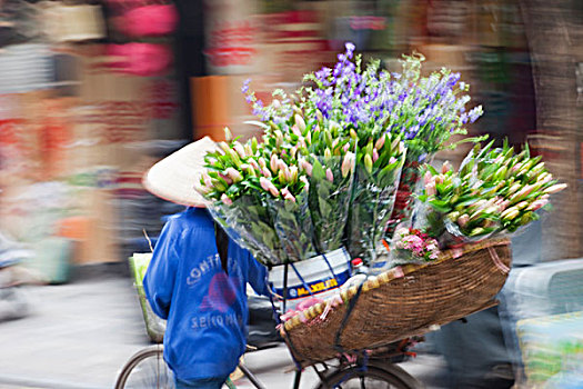 越南,河内,移动,花,摊贩