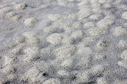 海水泡沫,福尔斯湾,南非