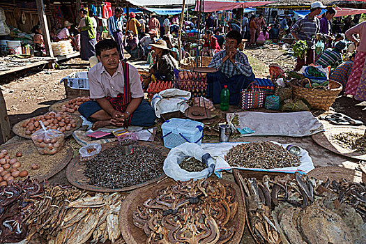 男人,销售,干燥,鱼肉,陆地,市场,茵莱湖,掸邦,缅甸,亚洲