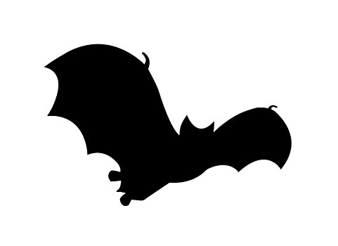 蝙蝠,剪影,飞行