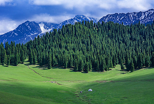 新疆奇台一万泉风景区
