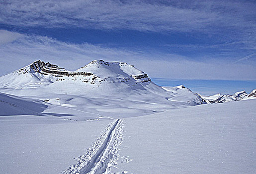 滑雪轨迹,白云石,落基山脉,班芙国家公园,艾伯塔省,加拿大