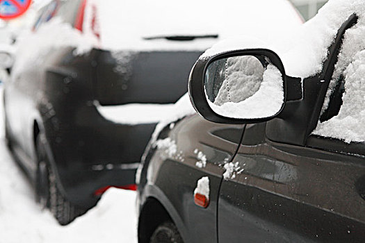 左边,镜子,积雪,黑色,冬天,德国
