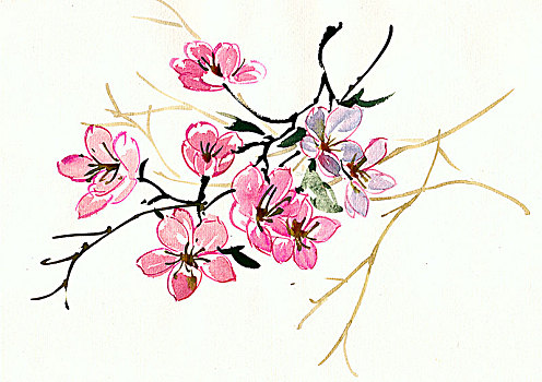 手繪花卉