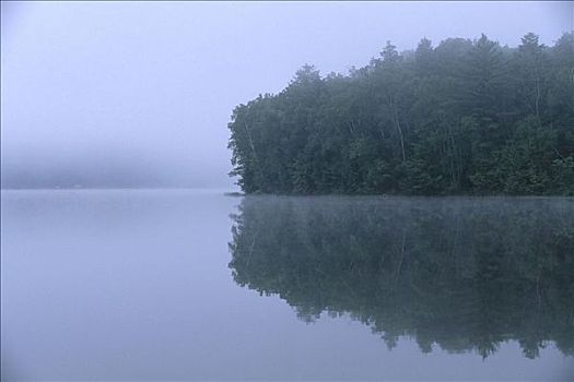 湖,树,雾,水獭,安大略省,加拿大