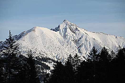 阿尔卑斯山