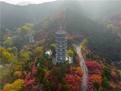 航拍济南红叶谷景区