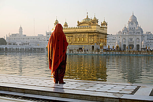 印度,金庙,女人,祈祷,庙宇