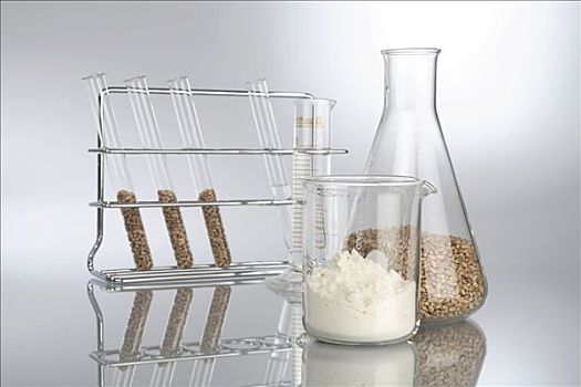 小麦,面粉,实验室,容器