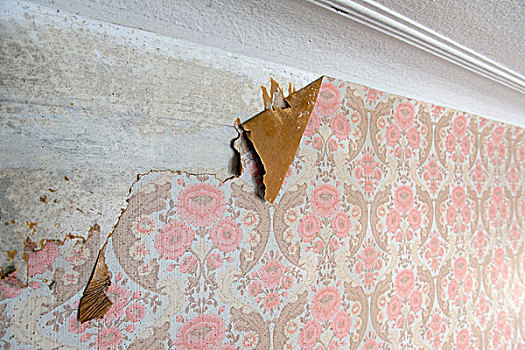 老,壁纸,60岁,粉饰灰泥,天花板,斯图加特,巴登符腾堡,德国,欧洲