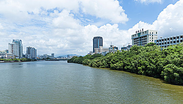 三亚湾河西红树林港口