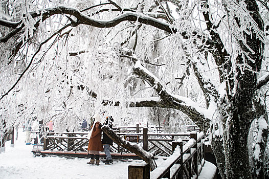 张家界天门山雪景