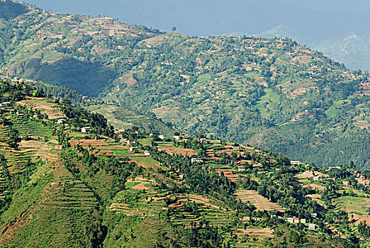 稻米梯田,丘陵地貌,高地,靠近,纳加阔特,巴克塔普尔,加德满都山谷,尼泊尔,亚洲