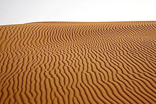 红色,沙子,沙丘,沙漠,阿布扎比,阿联酋,中东