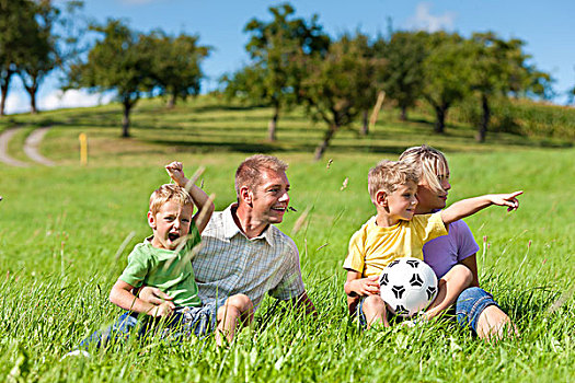 家庭,两个,小男孩,玩,草,夏日草地,足球