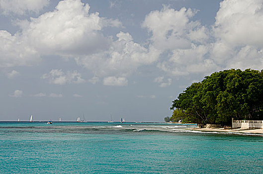加勒比,西印度群岛,向风群岛,巴巴多斯,湾