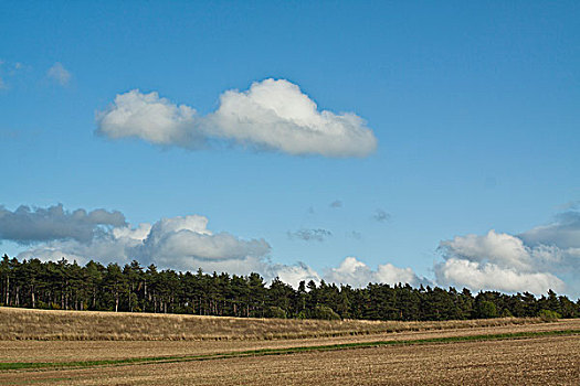 风景