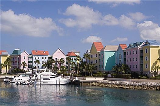 游览船,停泊,码头,天堂岛,巴哈马