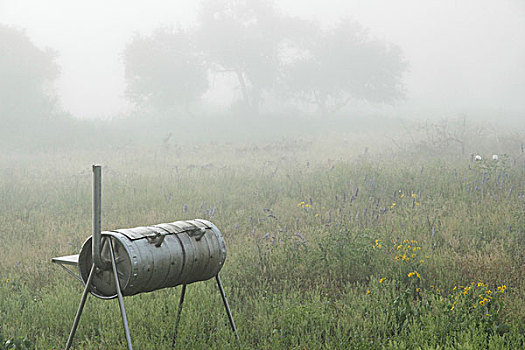 设备,草场,雾状,天气