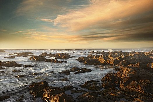 岩石,海岸线,靠近,圆石滩,北加利福尼亚,美国