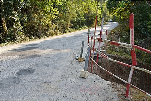 道路,损坏,树林