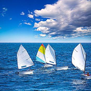 小,帆船,乐观,学习,帆,地中海,丹尼亚,阿利坎特