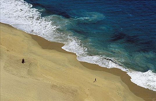 海滩,卡波圣卢卡斯,北下加利福尼亚州,墨西哥