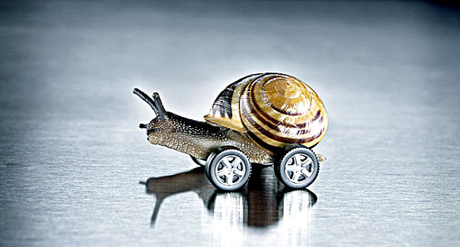 蜗牛,轮子
