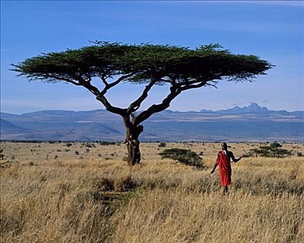 肯尼亚,肯尼亚山,马萨伊勇士,背景