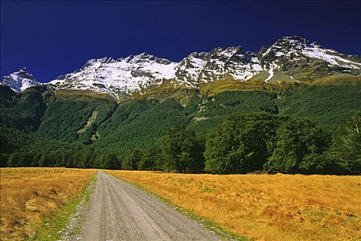 乡间小路,山谷,新西兰