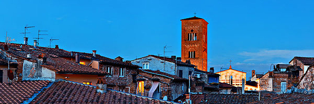 塔,教会,屋顶,古建筑,全景,夜拍,卢卡,意大利