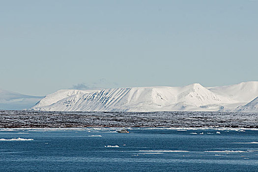 挪威,斯瓦尔巴群岛,斯匹次卑尔根岛,研究,船,正面,景色,积雪,山景