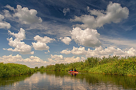 独木舟,河,国家公园,波兰