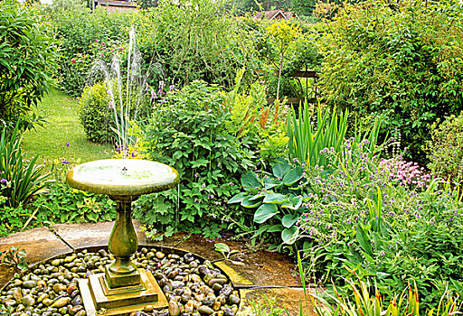 花园,喷泉,种植,玉簪属植物